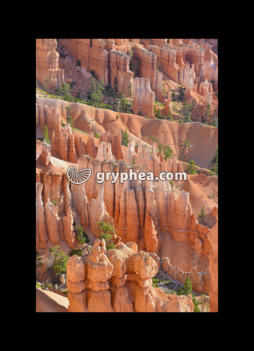 Hoodoos Bryce canyon (Utah, USA) - gryphea.com